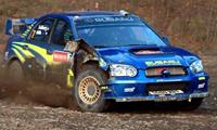   Subaru      World Rally Cup