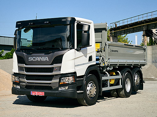   䳺     Scania